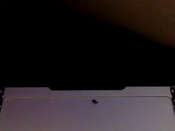 Stripchat Private Sex Chat of Mrkarizma