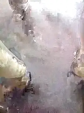 Stripchat Adult Video Chat of Teeman1111