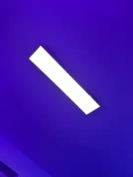 Stripchat Live Sex of newMichelle
