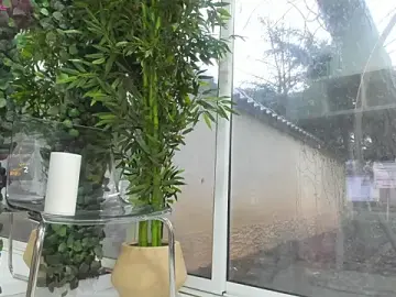 Stripchat Best live sex cam show of Lexi_Storm