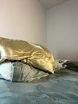 Stripchat Best live sex cam show of Belkaj