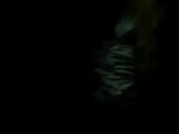 Stripchat Best live sex cam show of brandy_alec