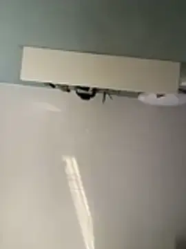 Stripchat Adult Webcams of MerlinDave