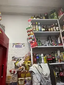 Stripchat Live Sex Cam of Sara_fun