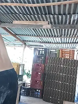 Stripchat Nude Webcam of hoteder