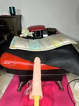 Stripchat Best Webcam of shelby_kutter