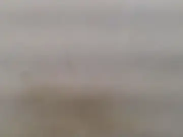 Stripchat Free Live Porn of Ruchi_Singh0