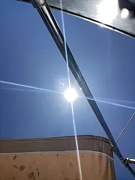 Stripchat Adult Video Chat of algila08