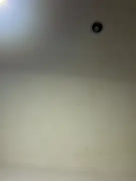 Stripchat Live Sex Cam of swrennn19