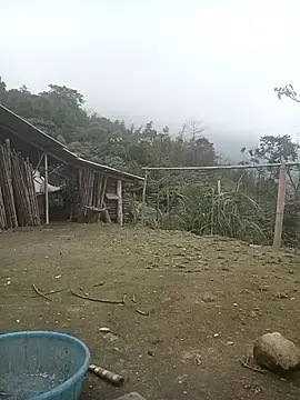 Stripchat Live Sex of cutebobi