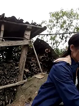 Stripchat Free Live Porn of doggy-00