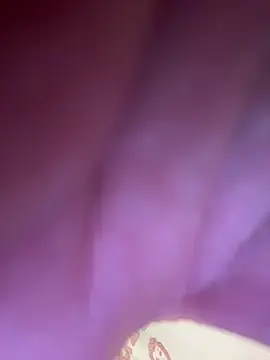 Stripchat Nude Webcam of Hoot-Anime-