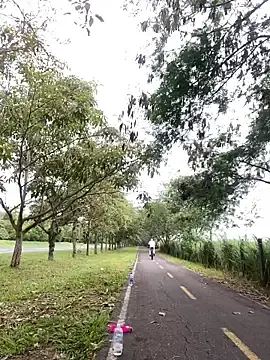 Stripchat Live Sex of Maicol_xxxx