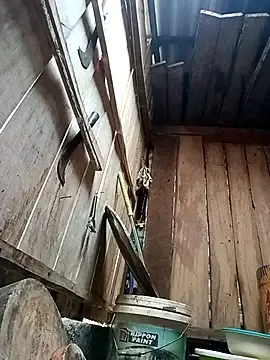 Stripchat Free Live Porn of llomayy-love