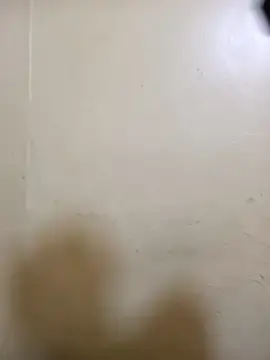 Stripchat Free Porn Cam of honeypot224