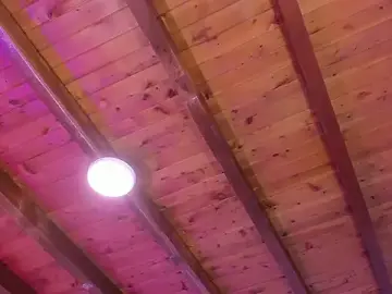 Stripchat Adult Webcams of Im_FelixHunter