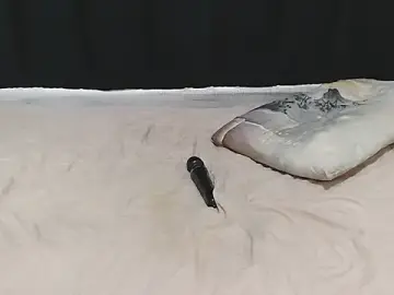 Stripchat Adult Webcam of EBONY_WILD_ASS