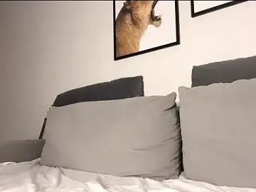 Stripchat Free Porn Cam of PetulaGunton