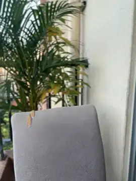 Stripchat Live Porn of Pretty_Isadora