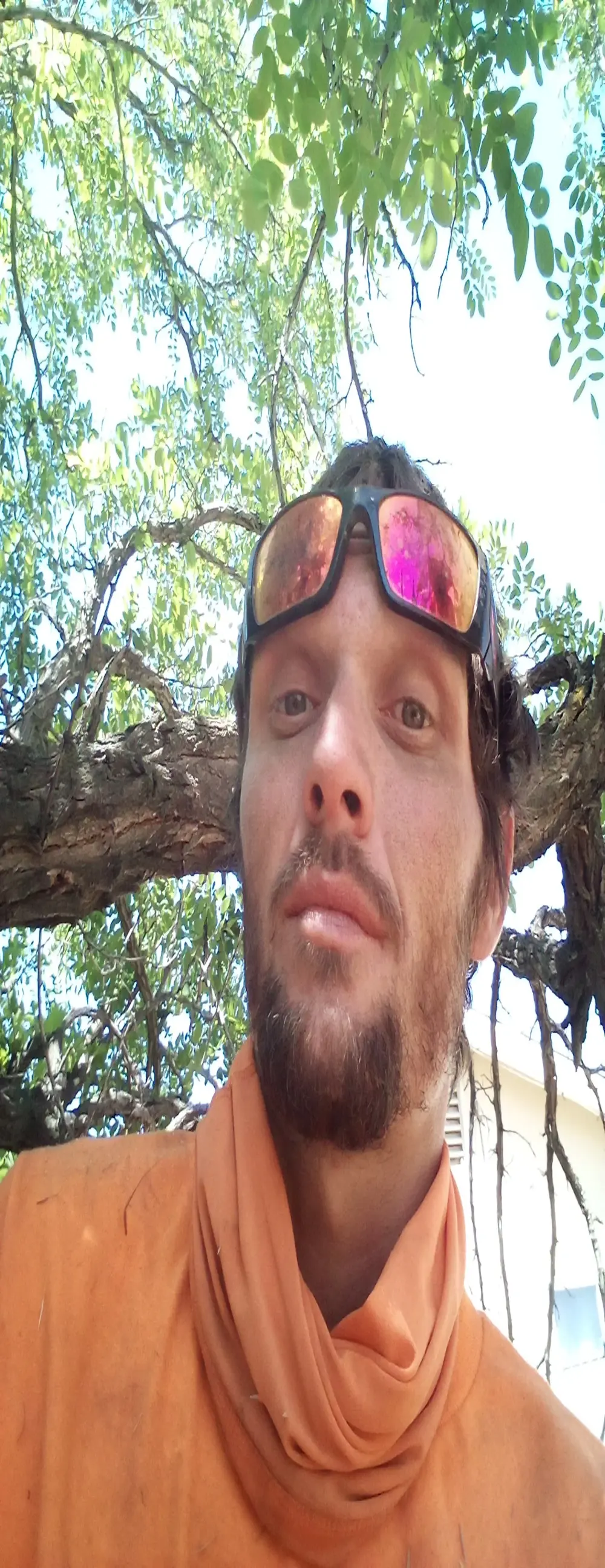 luke_thighwalker2469