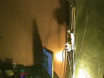 Stripchat Adult Video Chat of perversalus