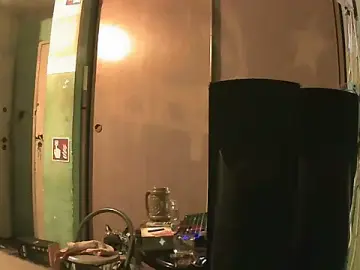 Stripchat Adult Webcams of perversalus