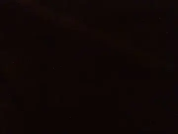 Stripchat Nude Webcam of pietje1991