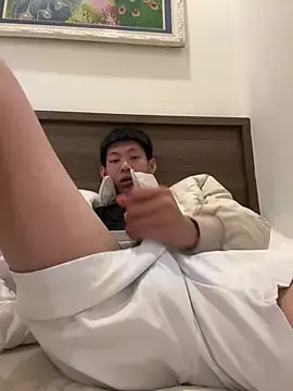 Stripchat Adult Webcams of linh21107