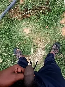 Stripchat Best Webcam of dolphiinn