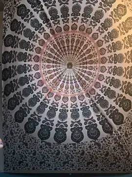 Stripchat Free Porn Cam of lexuslover687