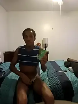 Stripchat Adult Webcams of AlphaPremiere