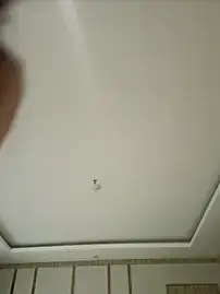 Stripchat Best live sex cam show of ORLA86