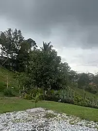 Stripchat Adult Webcam of Arilw