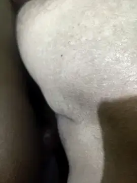 Stripchat Best Webcam of Dassing_strip_couple