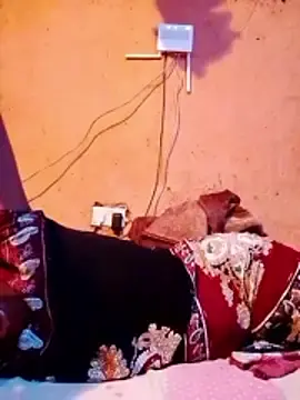 Stripchat Adult Video Chat of cute_naimah