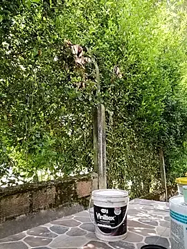 Stripchat Sex Chat of sebasxx97