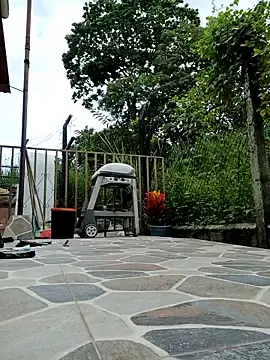 Stripchat Nude Webcam of sebasxx97