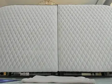 Stripchat Adult Video Chat of AngelinaMoore