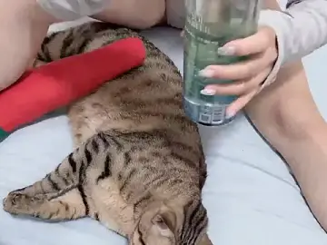 Stripchat Adult Webcam of LHeart