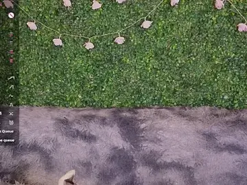 Stripchat Adult Video Chat of EkaterinaUpple