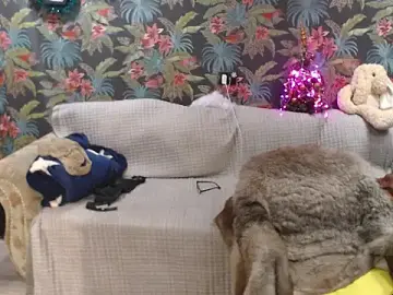 Stripchat Live Sex of SusanLaNice