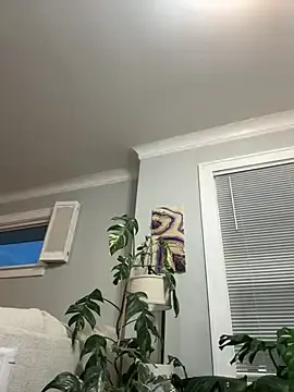 Stripchat Free Porn Cam of LoveShae_