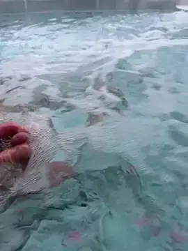 Stripchat Best live sex cam show of biigballs4u