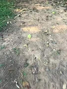 Stripchat Watch Live Sex Cams of pimange34