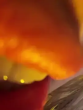 Stripchat Sex Cam of propertyofdaddy