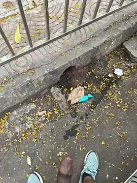 Stripchat Free Live Porn of Dakku_69