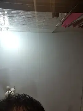 Stripchat Adult Webcam of Younger_Couples