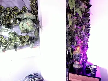 Stripchat Adult Webcams of Fernanda_liie_