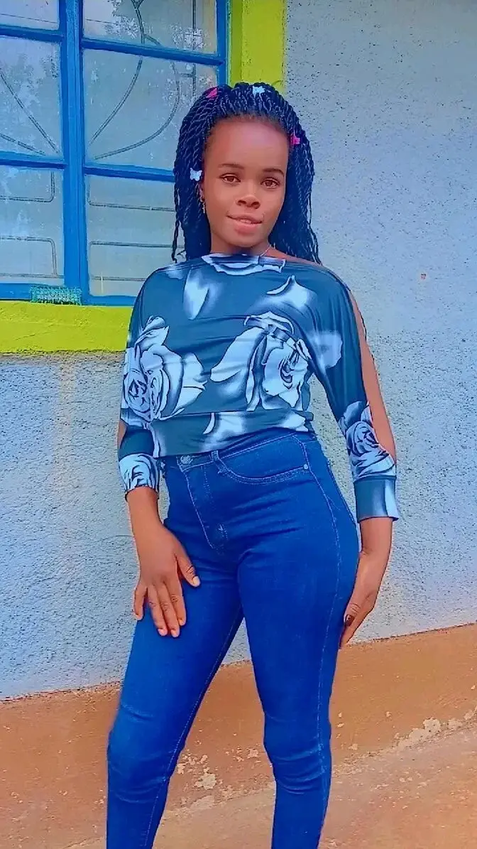 mesh_cutie
