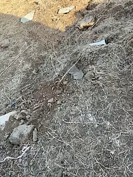 Stripchat Live Sex Cam of Miss__Malaika